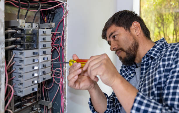 Best Electric Panel Repair  in Belleview, FL